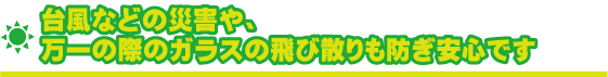台風などの災害や、万一の際のガラスの飛び散りも防ぎ安心です